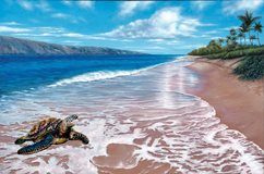 Click for larger view of Work ID #1316:
"North Beach Maui Honu" by Belinda Leigh