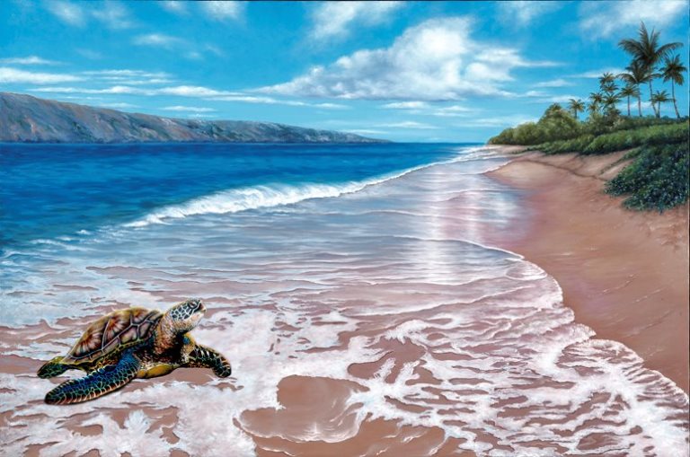 "North Beach Maui Honu" by Belinda Leigh