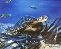 Click for larger view of Work ID #1484:
"Turtle Town" by Belinda Leigh