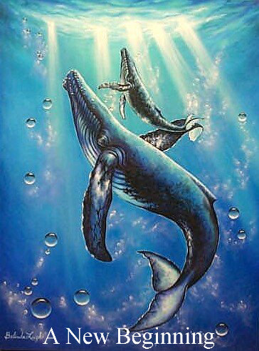 "A New Beginning"
(Belinda Leigh Galleries image 16 of 47)