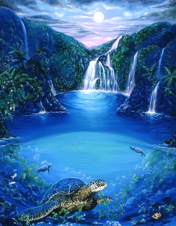 "Turtle Falls 1"
(Belinda Leigh Galleries image 11 of 47)