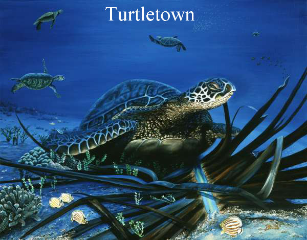 "Turtle Town"
(Belinda Leigh Galleries image 47 of 47)