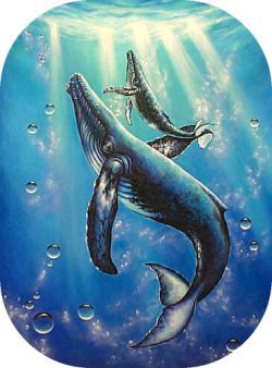 "A New Beginning" by Belinda Leigh
Category:  Seascapes, Whales