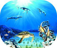 "Circle of Life 2" by Belinda Leigh
Category:  Whales, Turtles