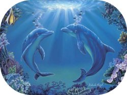 "Dance of the Dolphins" by Belinda Leigh
Category:  Dolphins