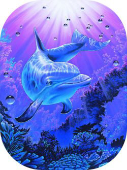 "Dreamer" by Belinda Leigh
Category:  Dolphins