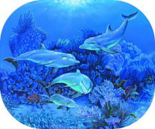 "Family Love" by Belinda Leigh
Category:  Dolphins