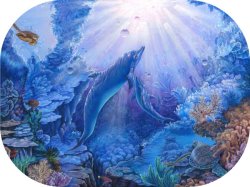 "Guiding Love" by Belinda Leigh
Category:  Dolphins, Turtles