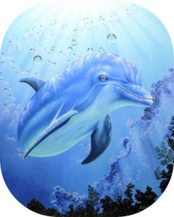 "Majestic Guardian" by Belinda Leigh
Category:  Dolphins