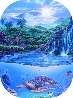"Moonsong" by Belinda Leigh
Category:  Seascapes, Turtles, Waterfalls