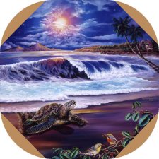 "Paradise Hideaway" by Belinda Leigh
Category:  Seascapes, Turtles, Sunsets