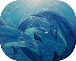 "Playmates" by Belinda Leigh
Category:  Dolphins