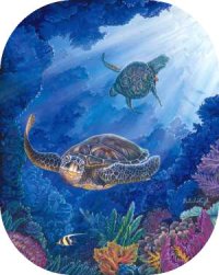 "Turtle Flight" by Belinda Leigh
Category:  Turtles